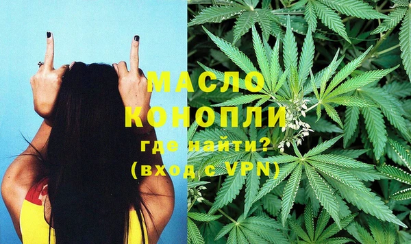 твердый Няндома