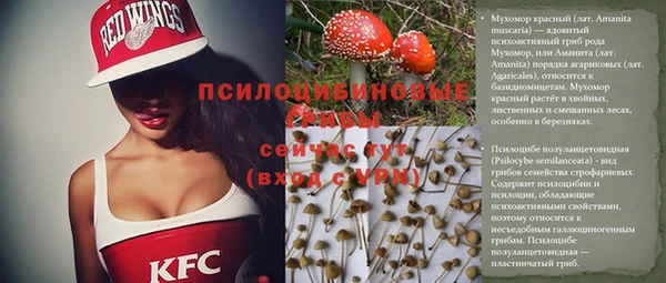винт Абинск