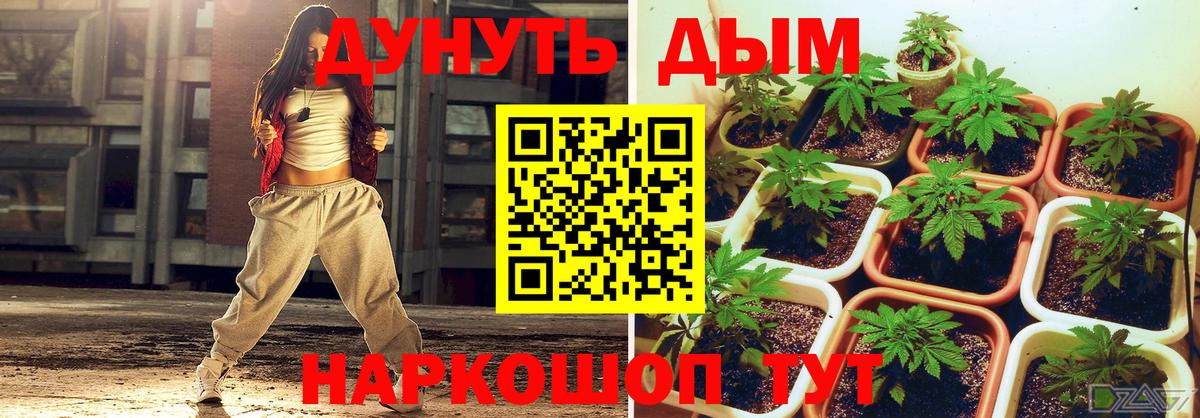 Конопля Bruce Banner  Вход с VPN  Марихуана AK-47  Шишки марихуана VHQ  Рославль 